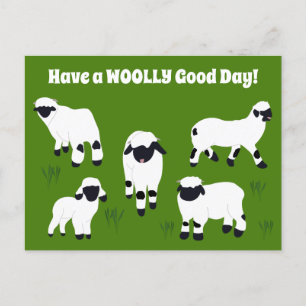 Carte Postale Passez une JOURNÉE LAINEUSE Valais Blacknose Sheep