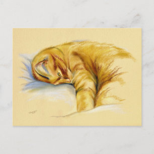 Carte Postale Pastel Chat - Pose Relaxante Tabby Orange