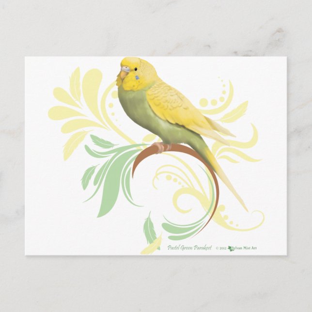 Carte Postale Pastel Green Parakeet (Devant)