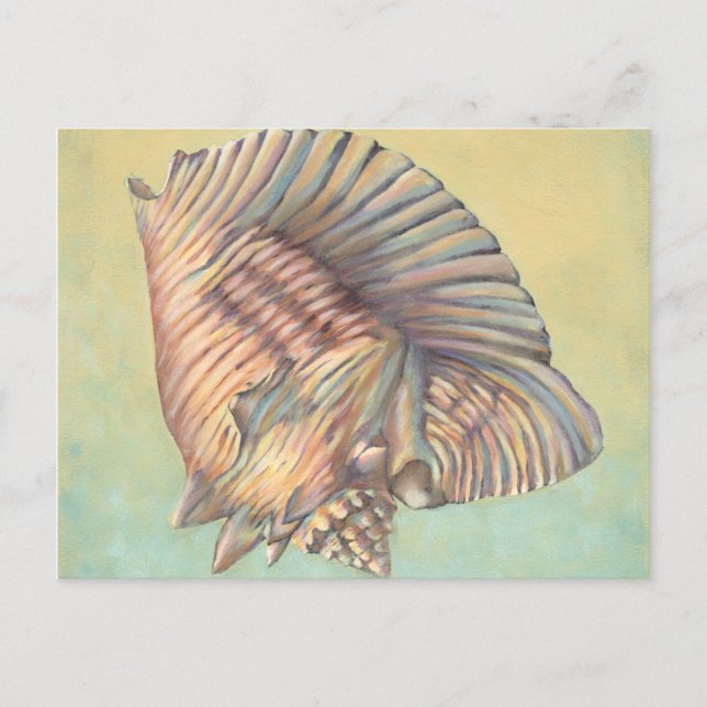 Carte Postale Pastel Large Conch Shell (Devant)