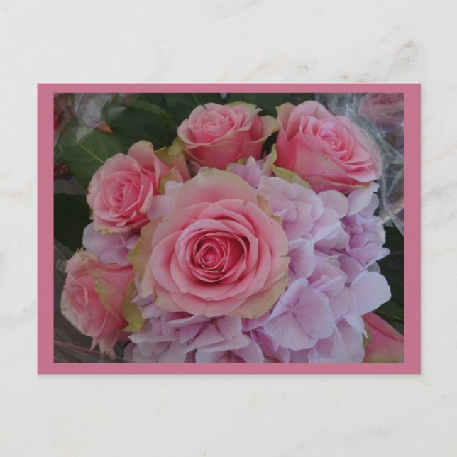 Carte Postale Pastel Rose et Hydrangea Flowers do-it-yourself Ca (Devant)