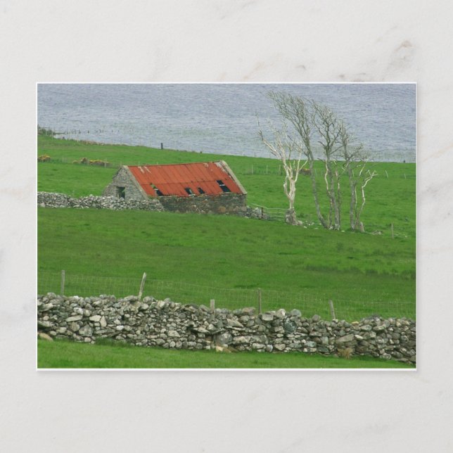Carte Postale Pasture de la côte Atlantique, Irlande (Devant)