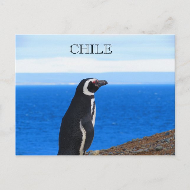 Carte Postale Patagonie Chili (Devant)