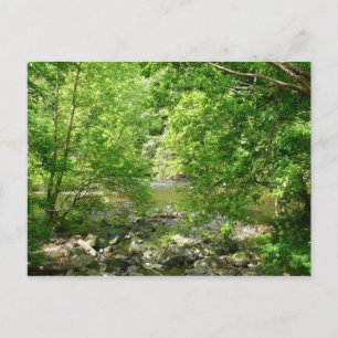 Carte Postale Patapsco River View Maryland Nature Photographie
