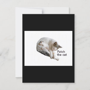 CARTE POSTALE PATCH LE CHAT ET SA CUISINE