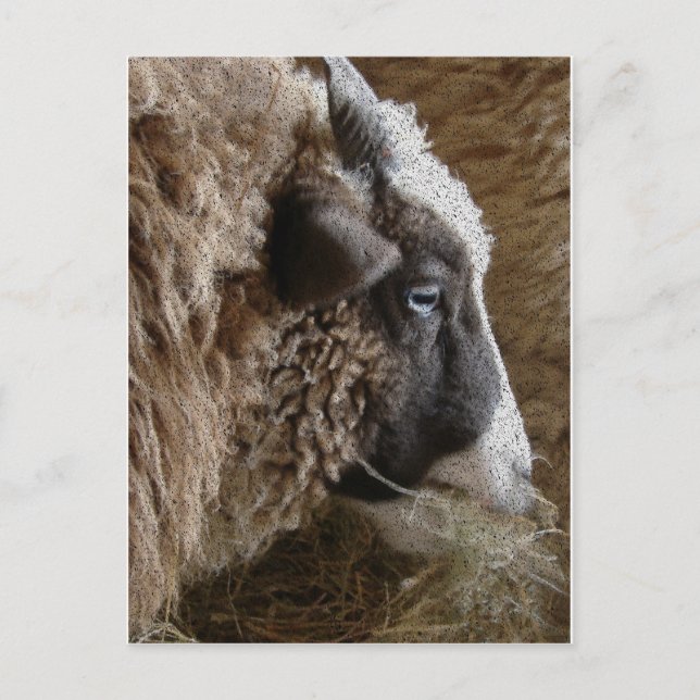 Carte Postale Patchwork Amy (Devant)