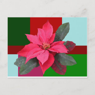 Carte Postale Patchwork Christmas - Poinsettia