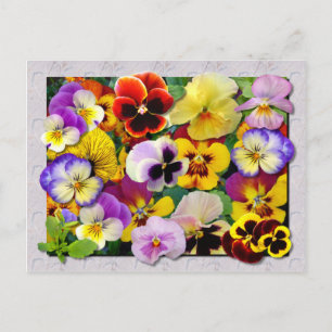 CARTE POSTALE PATCHWORK PANSY