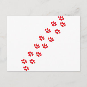 Carte Postale Pâtes de chat
