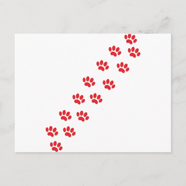 Carte Postale Pâtes de chat (Devant)