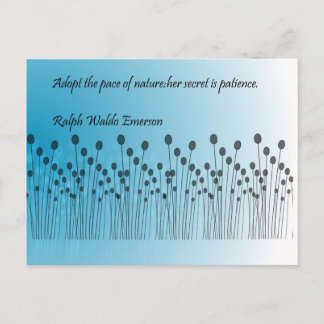 Carte Postale Patience