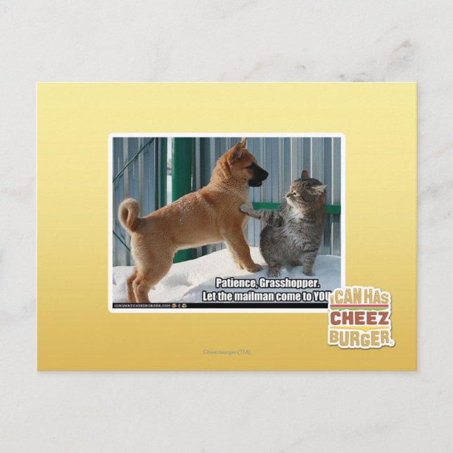 Carte Postale Patience, sauterelle. (Devant)