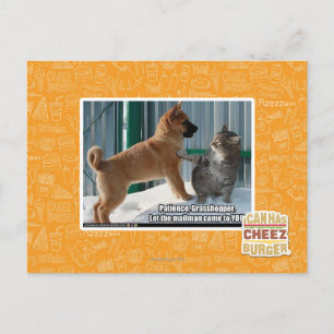 Carte Postale Patience, sauterelle.