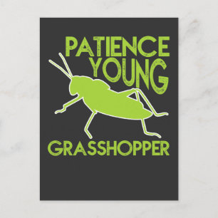Carte Postale Patience Young Grasshopper Amusante nouveauté