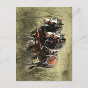 Carte postale Patiné vintage Clydesdale