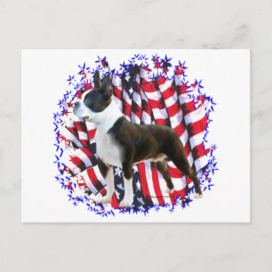 Carte Postale Patriot de Boston Terrier