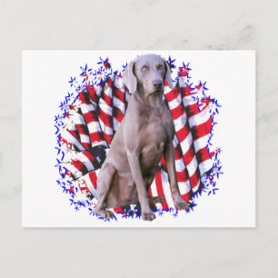 Carte Postale Patriot de Weimaraner