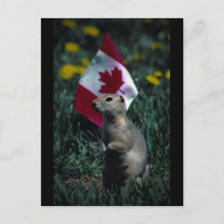 Carte Postale Patriotique