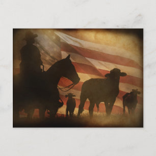 Carte Postale Patriotique Américain Cowboy et Bovins Western