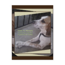 Carte postale Patrouilles de chien de prière
