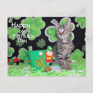 Carte Postale Patton's St. Patrick's Day Postcard - Chat / Kitte