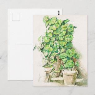Carte Postale Paul Cézanne Geraniums Encore Vie Botanique