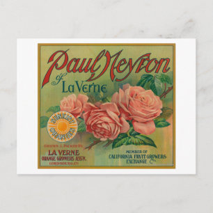 Carte Postale Paul Neyron de La Verne Orange Étiquette