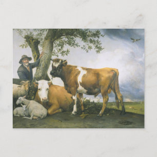 Carte Postale Paulus Potter