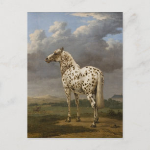 Carte Postale Paulus Potter - Le Cheval "Piebald". Image vintage