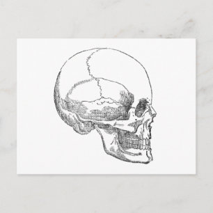 Carte Postale Pauvre crâne de Yorick