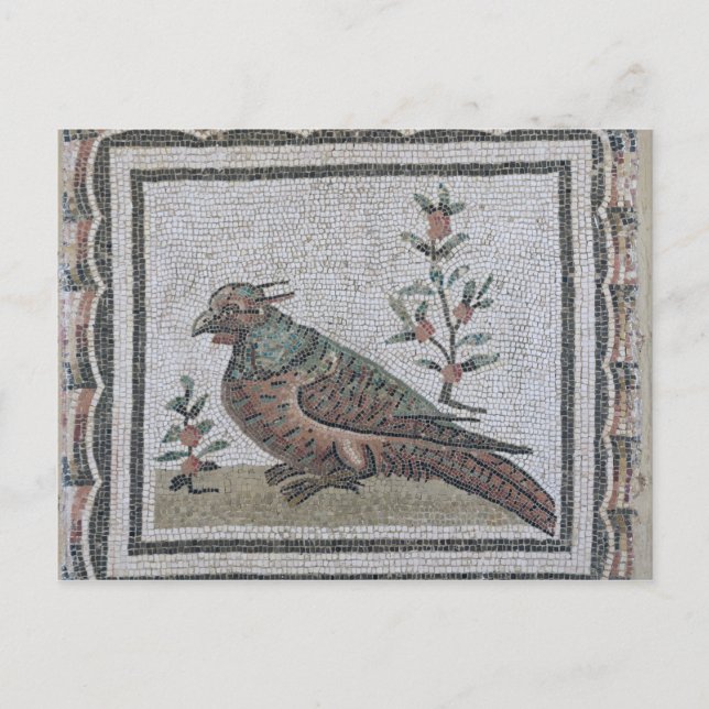 Carte Postale Pavement représentant un faisan (Devant)