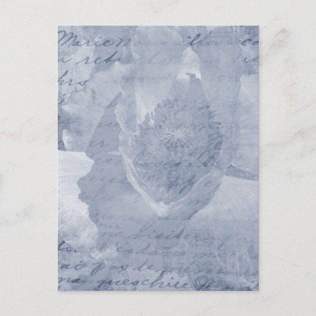 Carte Postale Pavot 2 (Devant)