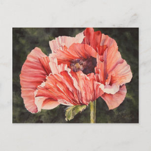Carte Postale Pavot à maïs rose Toutes les occasions Watercolor