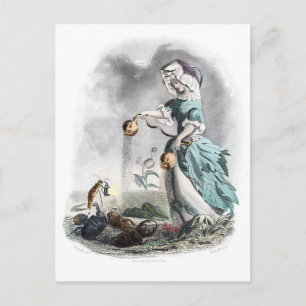 Carte Postale Pavot à opium