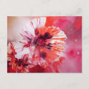 Carte Postale Pavots Cosmiques