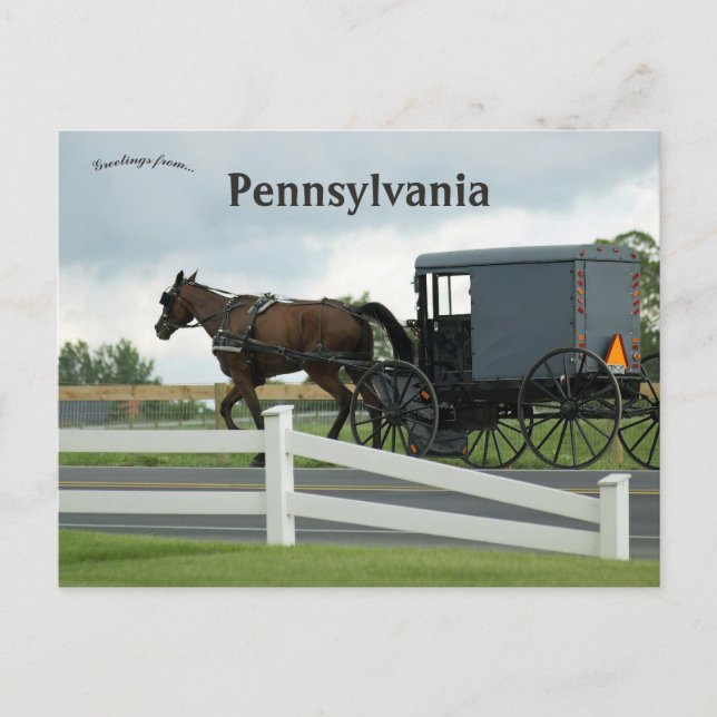 Carte Postale Pays Amish à Lancaster Pennsylvania (Devant)