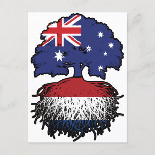 Carte Postale Pays-Bas Dutch Australian Australia Tree Rots