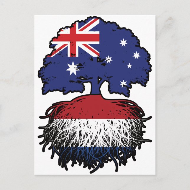 Carte Postale Pays-Bas Dutch Australian Australia Tree Rots (Devant)