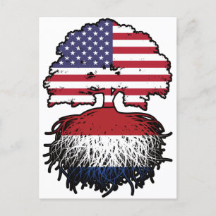Carte Postale Pays-Bas Néerlandais Américain États-Unis États-Un