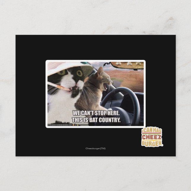 Carte Postale Pays chauve (Devant)