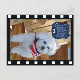 Carte Postale Pays de Bichon avec cadre négatif