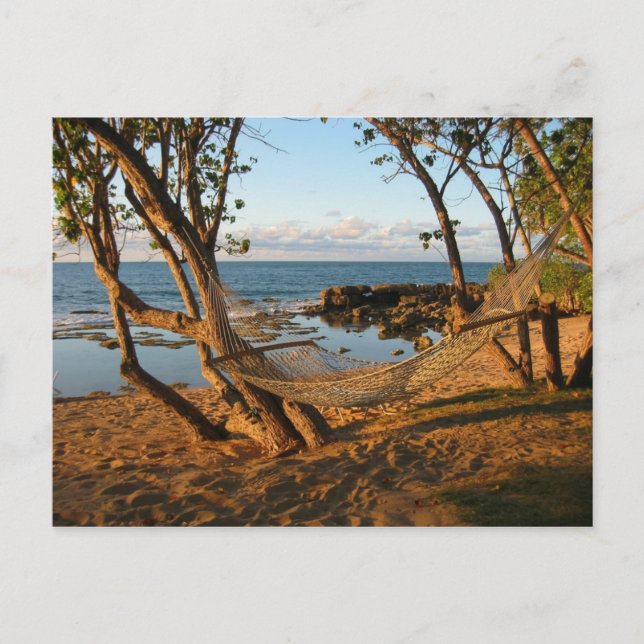 Carte Postale Pays des merveilles (Devant)