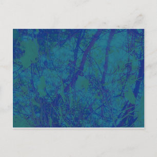 Carte Postale Pays Des Merveilles À Twilight