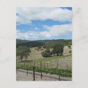 Carte Postale Pays des vins de Templeton à la fin du mois de mai