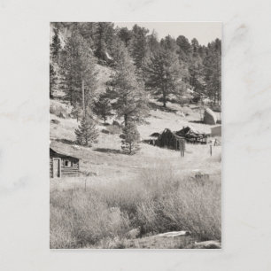 Carte Postale Pays d'hiver