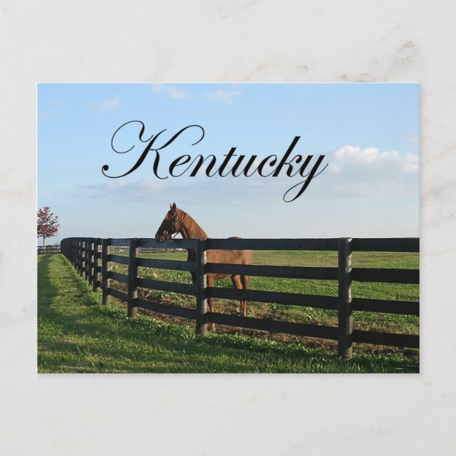 Carte Postale Pays du Kentucky Bluegrass (Devant)
