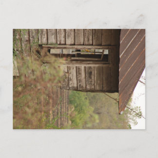 Carte Postale Pays Étoile #3