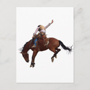 Carte Postale Pays Ouest cheval équitation Rodeo Cowboy