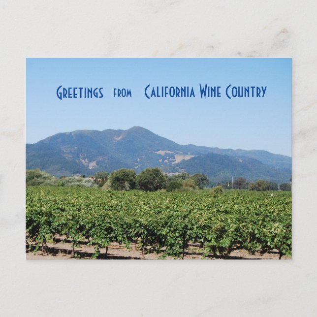 Carte Postale Pays vinicole Californie (Devant)