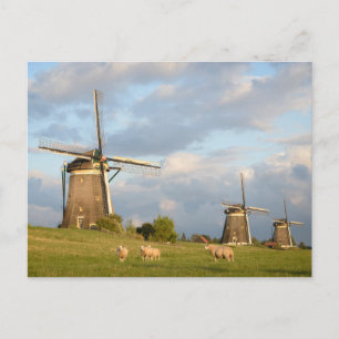 Carte Postale Paysage avec moulins à vent et moutons